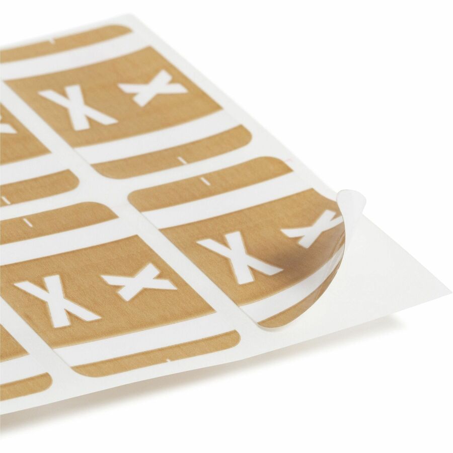 Image of Smead 67194 AlphaZ ACCS Color-Coded Labels, X, x 1" W x 1 5/8" Length, Light Brown, Laminated, 10 / Sheet, 100 / Pack