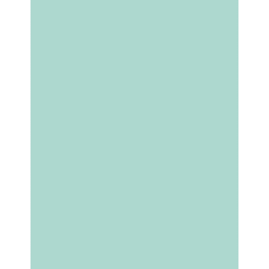 Image of Sparco Premium Copy Paper, 20Lb, 8-1/2"x11", 500/RM, Blue