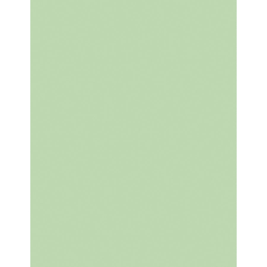 Image of Sparco Premium Copy Paper, 20Lb, 8-1/2"x11", 500/RM, Green