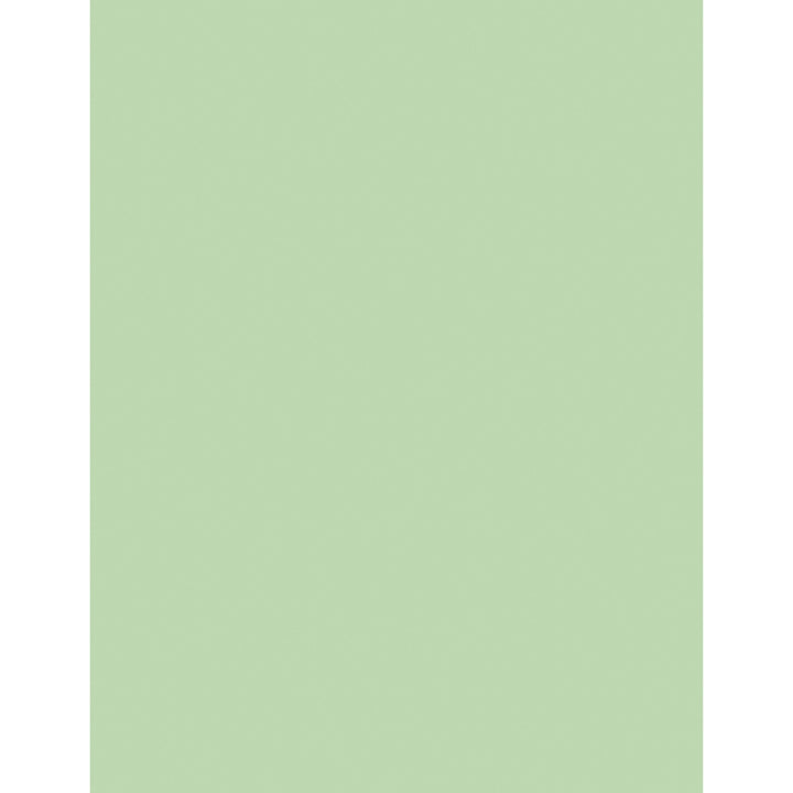 Image of Sparco Premium Copy Paper, 20Lb, 8-1/2"x11", 500/RM, Green