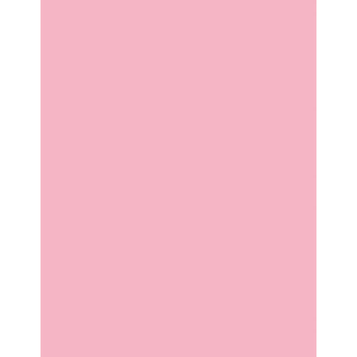 Image of Sparco Premium Copy Paper, 20Lb, 8-1/2"x11", 500/RM, Pink