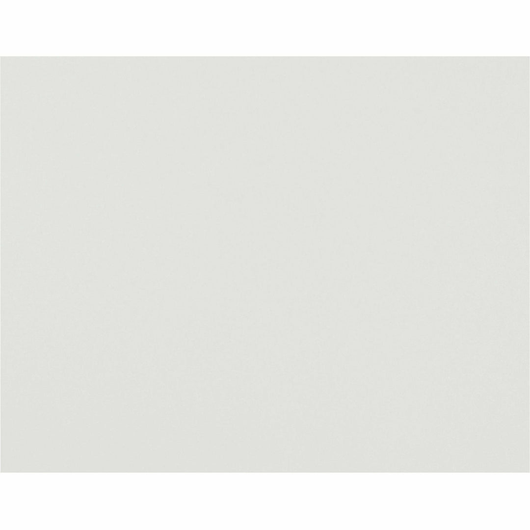 Image of Pacon® Poster Board, 4-Ply, 22"x28", 50/CT, White