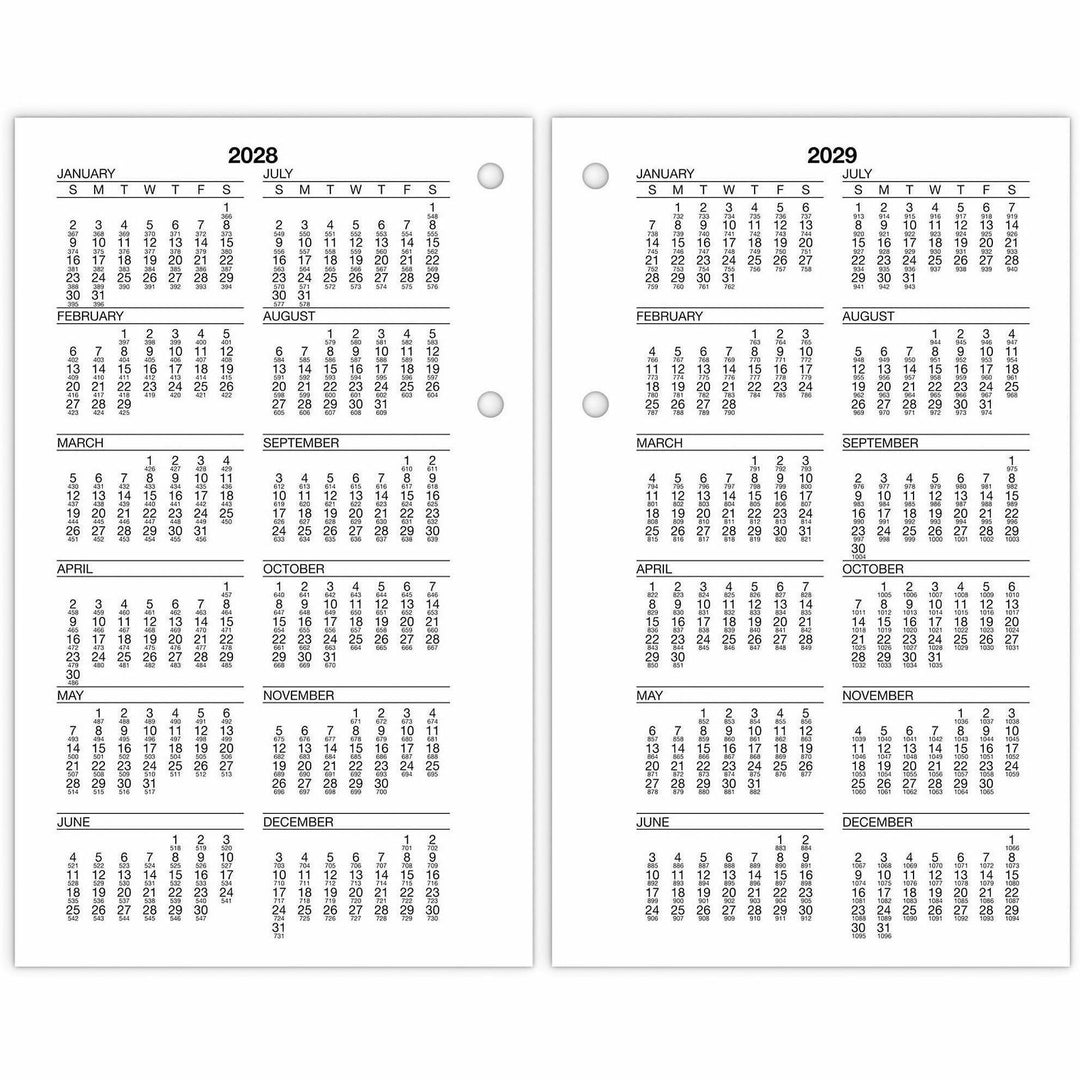 Image of AT-A-GLANCE® Burkhart's Day Counter Desk Calendar Refill, 4.5 x 7.38, White Sheets, 12-Month (Jan to Dec): 2025