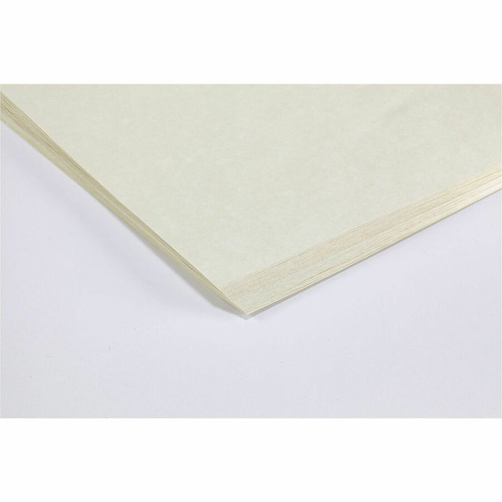 Image of Southworth P984CK Parchment Specialty Paper, Letter, 8 1/2" x 11", 24 lb Basis Weight, Parchment, Acid-free, Lignin-free, Ivory, 100 / Pack