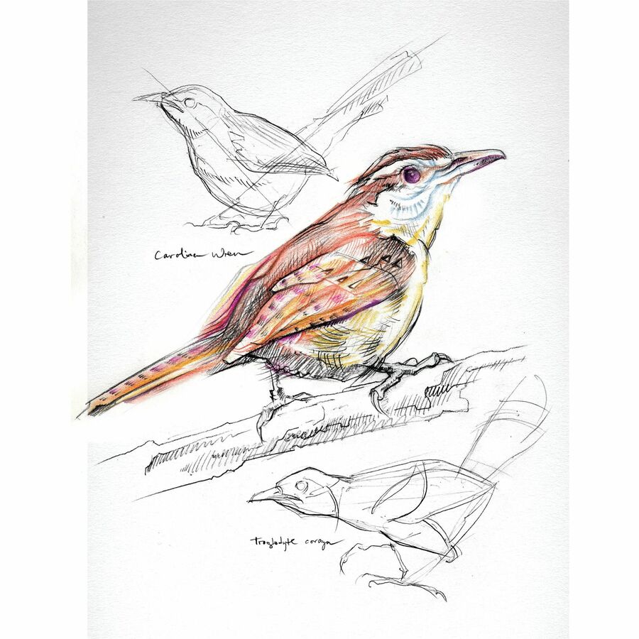 Image of UCreate 103207 Art1st Sketch Book