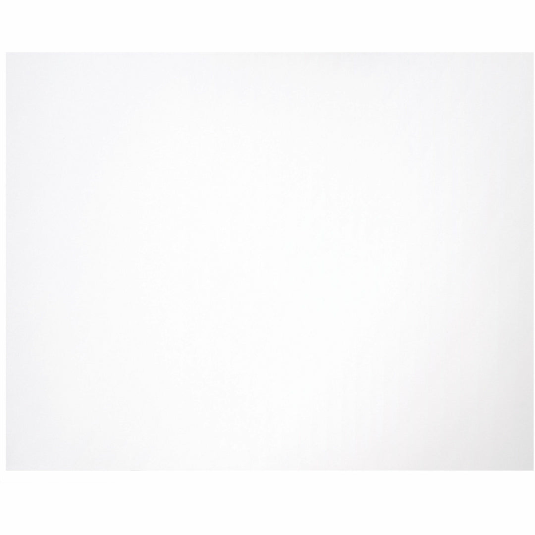 Image of Pacon® Railroad Poster Board,14 Pt.,22"x28",100/CT,White
