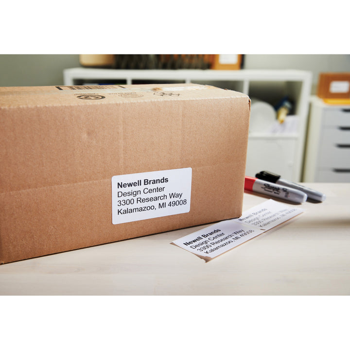 Image of Dymo 30256 LabelWriter Large Shipping Labels, 2 5/16" W x 4" Length, Rectangle, Direct Thermal, White, 300 / Roll, 1 Roll