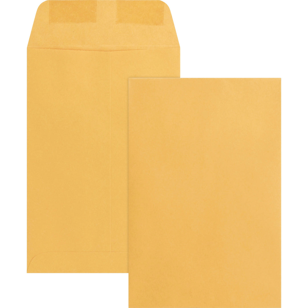 Image of Business Source Catalog Envelopes, 24 lb, 6"x9", 500/BX, Kraft