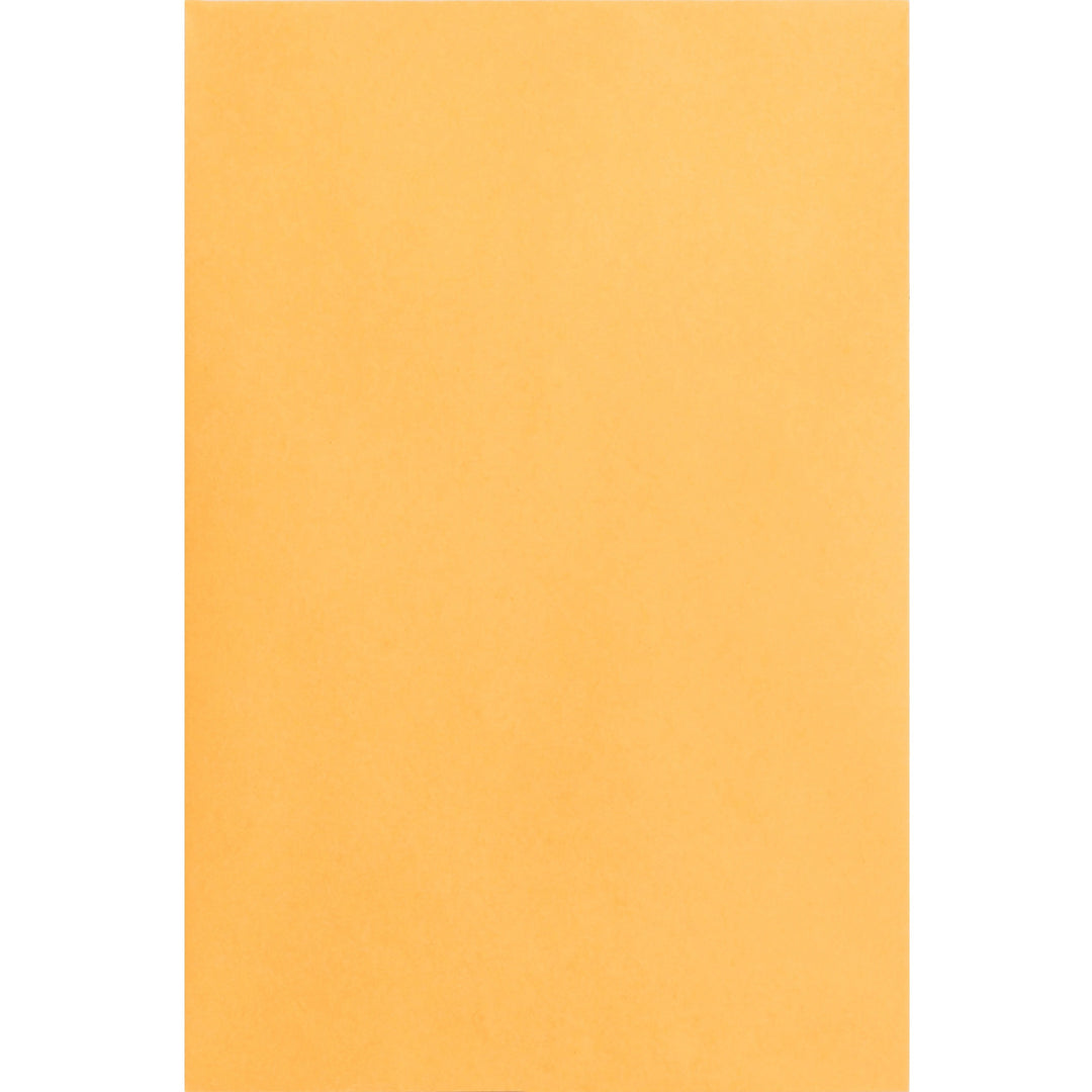 Image of Business Source Catalog Envelopes, 24 lb, 6"x9", 500/BX, Kraft