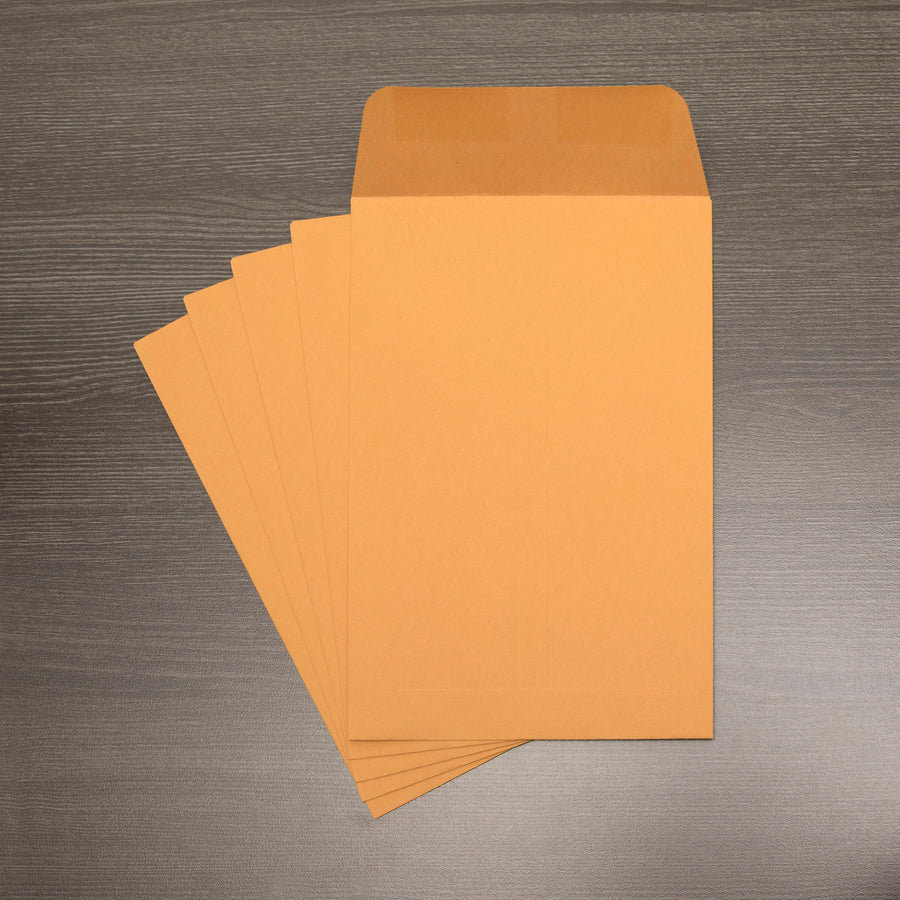 Image of Business Source Catalog Envelopes, 24 lb, 6"x9", 500/BX, Kraft
