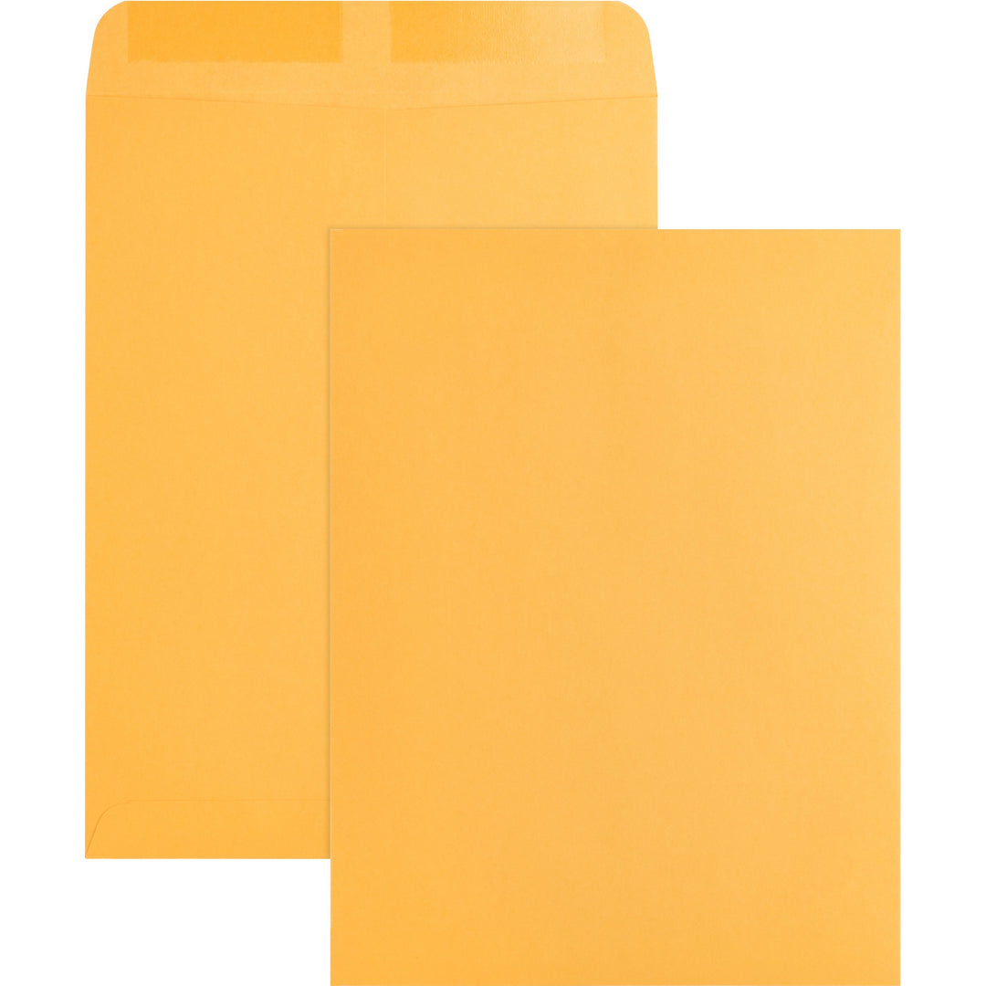 Image of Business Source Catalog Envelopes, Plain, 9"x12", 250/BX, Kraft