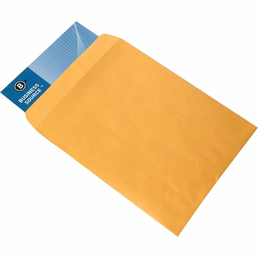 Image of Business Source Catalog Envelopes, Plain, 9"x12", 250/BX, Kraft