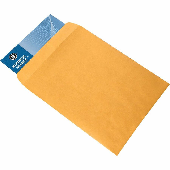 Image of Business Source Catalog Envelopes, Plain, 9"x12", 250/BX, Kraft
