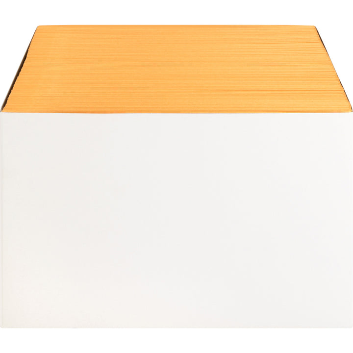 Image of Business Source Catalog Envelopes, Plain, 9"x12", 250/BX, Kraft
