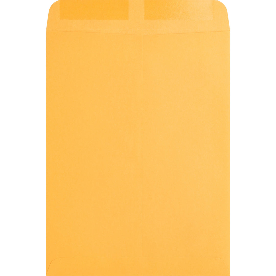 Image of Business Source Catalog Envelopes, Plain, 9"x12", 250/BX, Kraft