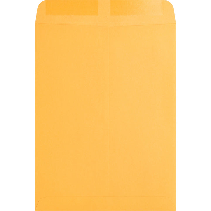 Image of Business Source Catalog Envelopes, Plain, 9"x12", 250/BX, Kraft