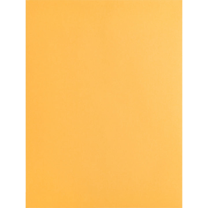 Image of Business Source Catalog Envelopes, Plain, 9"x12", 250/BX, Kraft