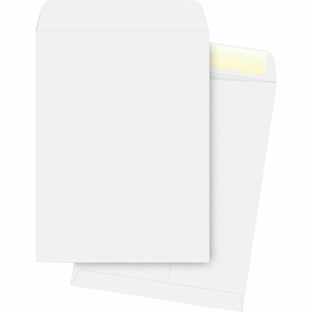 Image of Business Source Catalog Envelopes, Plain, 28Lb., 10"x13", 250/BX, WE
