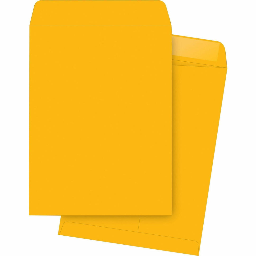 Image of Business Source Catalog Envelopes, 24 lb, 9"x12", 250/BX, Kraft