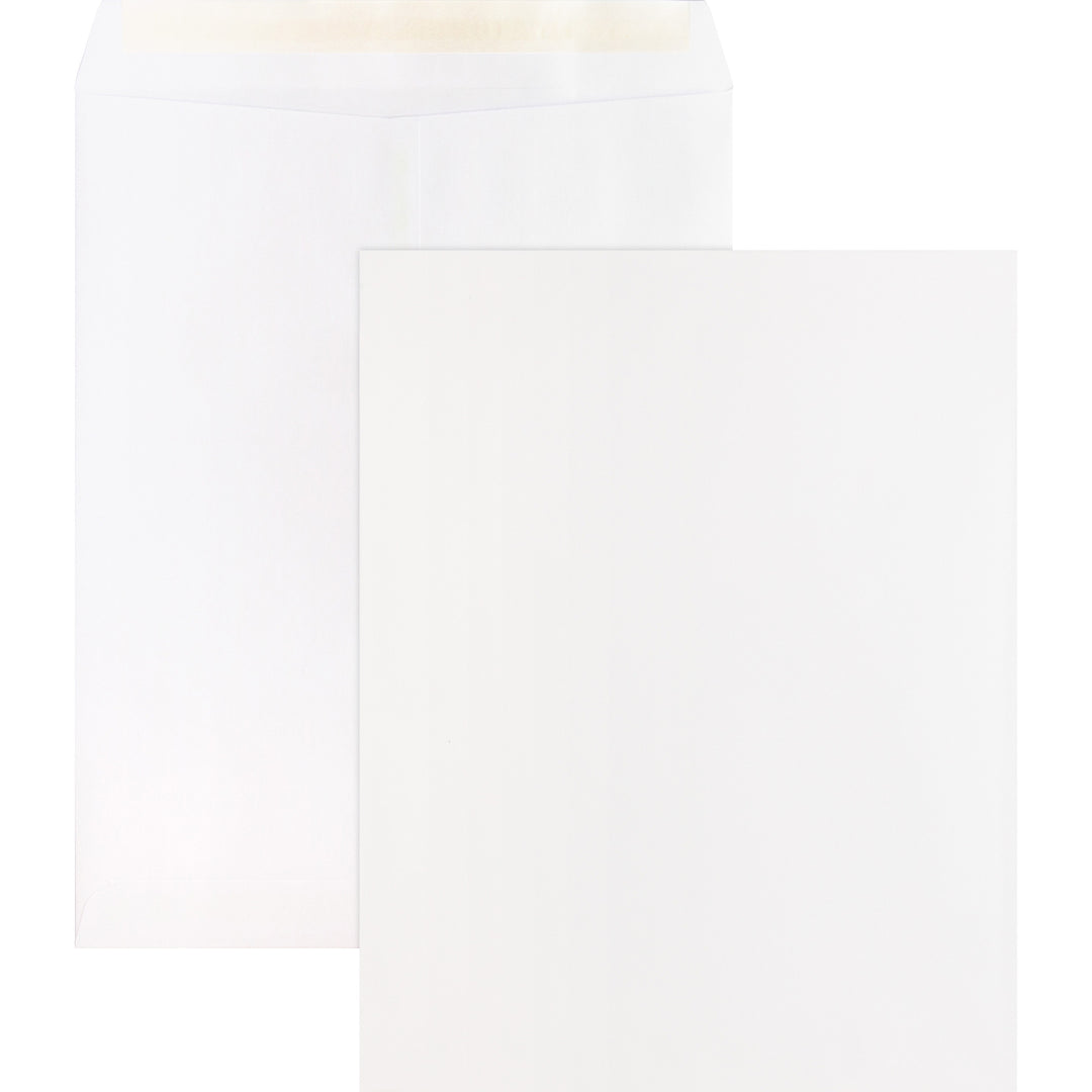 Image of Business Source Catalog Envelopes,Self Seal,10"x13", 100/BX,WE Wove
