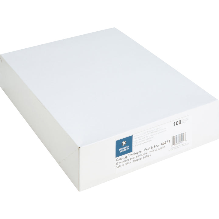 Image of Business Source Catalog Envelopes,Self Seal,10"x13", 100/BX,WE Wove
