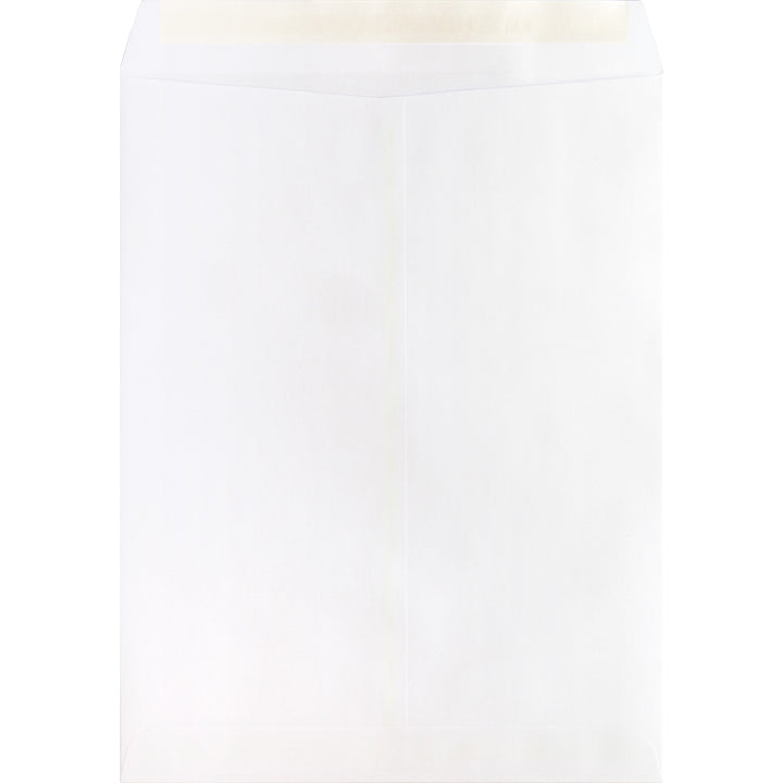 Image of Business Source Catalog Envelopes,Self Seal,10"x13", 100/BX,WE Wove