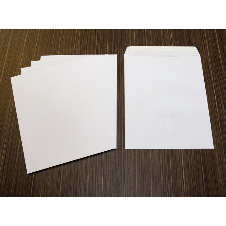 Image of Business Source Catalog Envelopes,Self Seal,10"x13", 100/BX,WE Wove