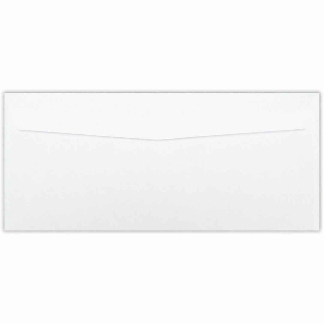 Image of Business Source Double Window Envelope,No. 10,9-1/2"x4-1/8",500/BX,White