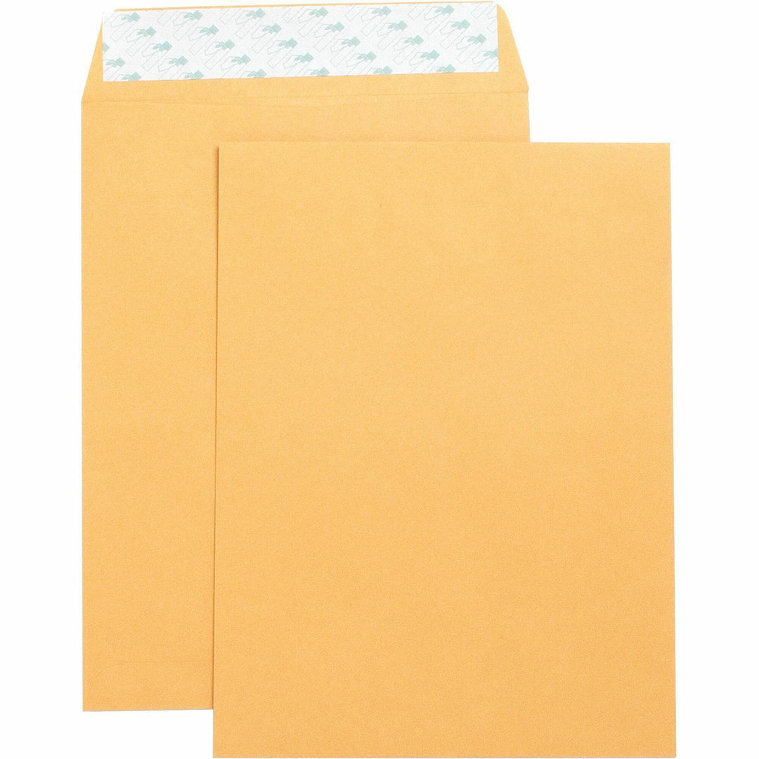 Image of Business Source Catalog Envelopes,Self Seal,Plain,9"x12",250/BX,Kraft