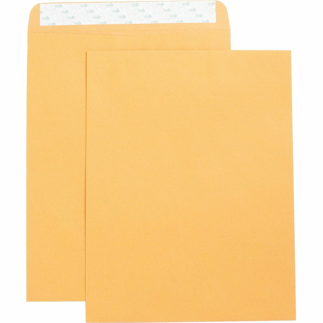 Image of Business Source Catalog Envelopes,Self Seal,Plain,10"x13",250/BX,Kraft