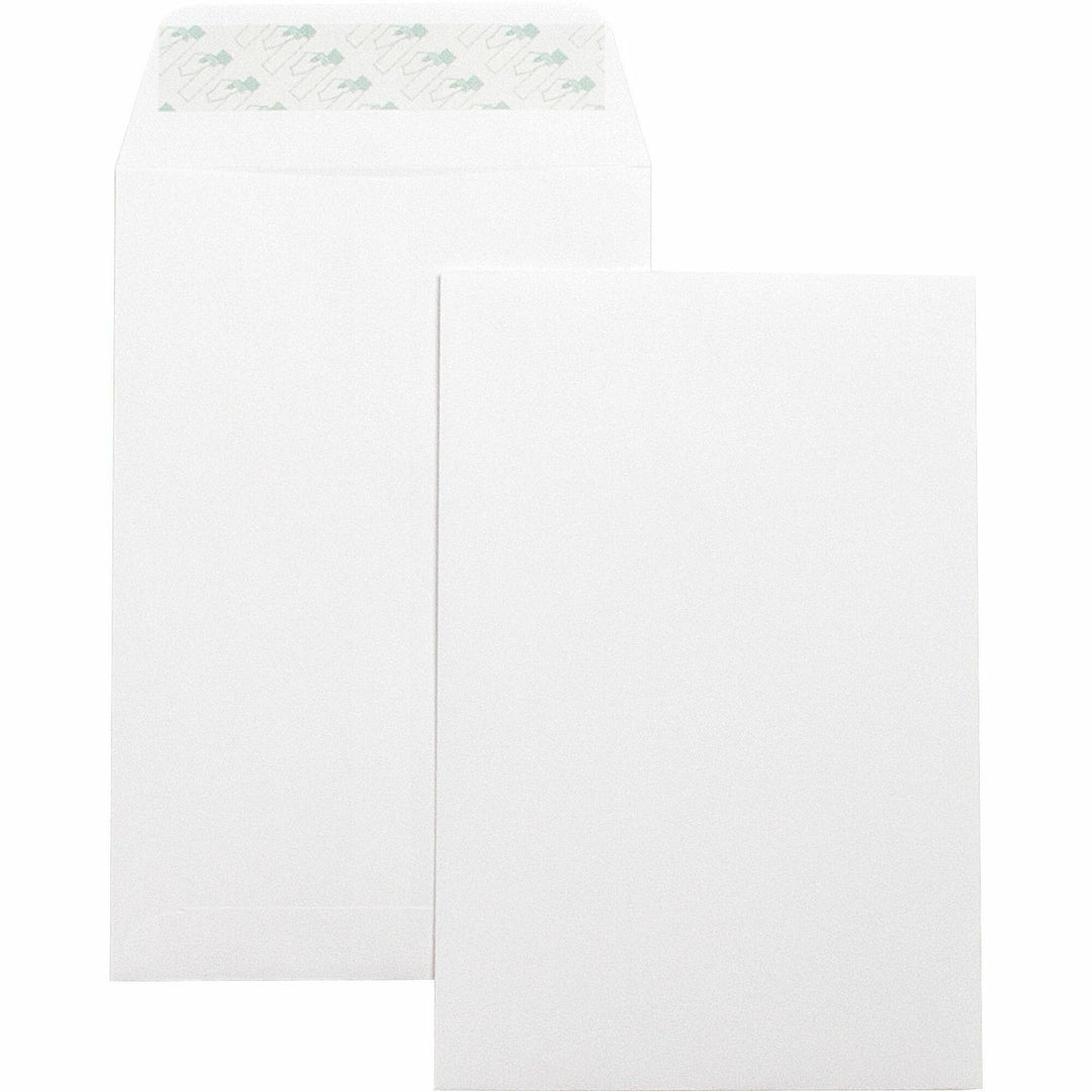 Image of Business Source Catalog Envelopes,Self Seal,Plain,6"x9",100/BX,White Wove
