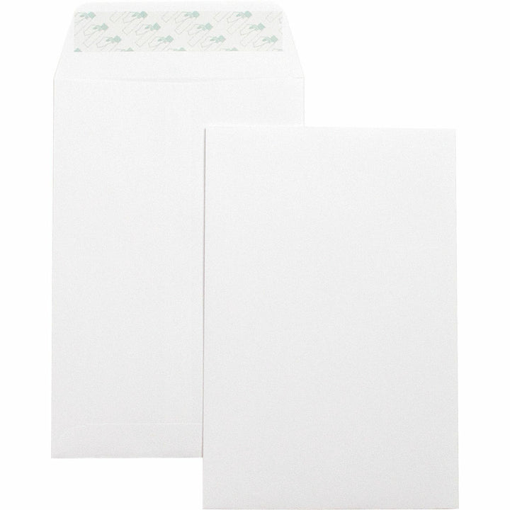 Image of Business Source Catalog Envelopes,Self Seal,Plain,6"x9",100/BX,White Wove