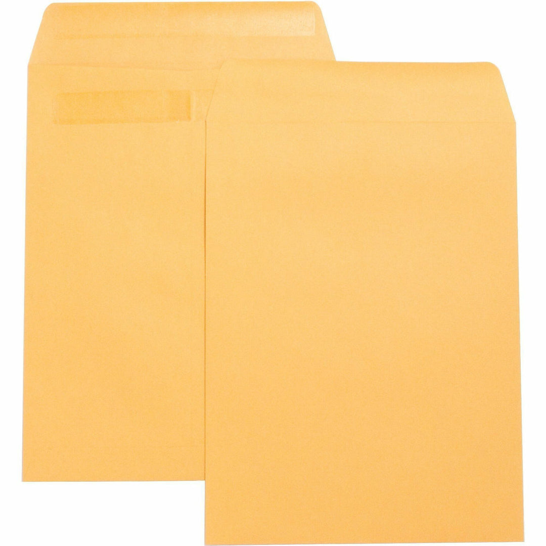 Image of Business Source Press/Seal Catalog Envelopes,Plain,9"x12",100/BX,Kraft
