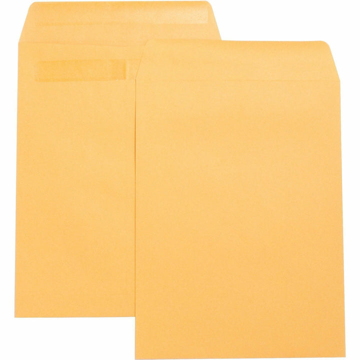 Image of Business Source Press/Seal Catalog Envelopes,Plain,9"x12",100/BX,Kraft