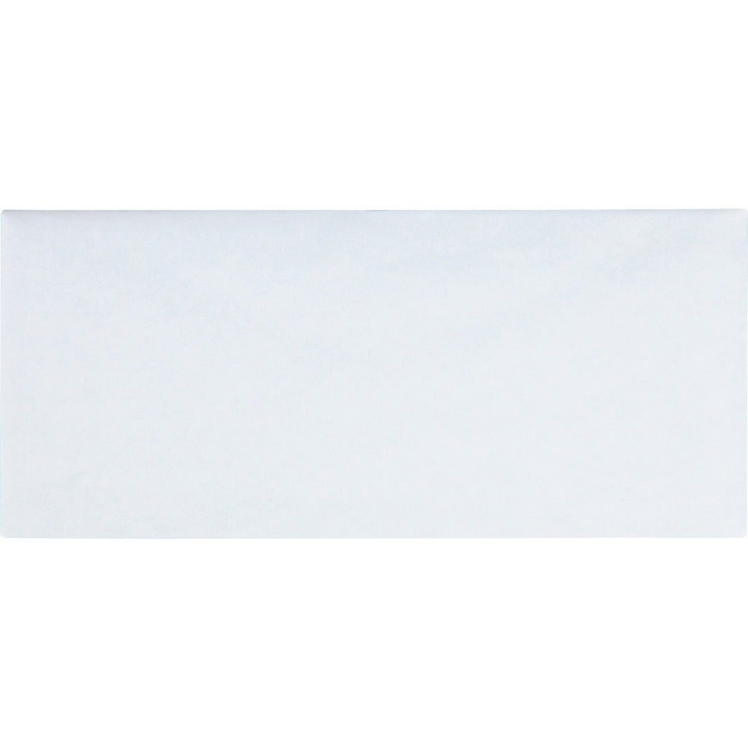 Image of Business Source Security Regular Envelopes,No. 10,4-1/8"x9-1/2",500/BX,WE