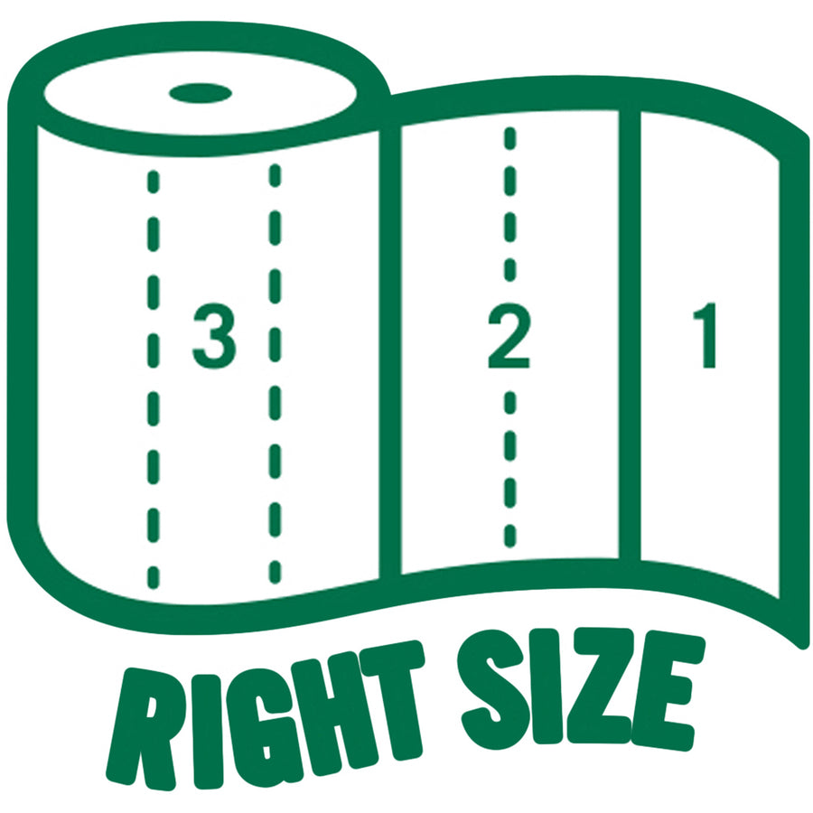 Image of Seventh Generation 13731 100% Recycled Paper Towels, 2 Ply, 11" W x 5.40" Length, 140 Sheets/Roll, White, Paper, 1 Pack