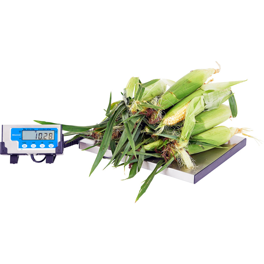 Image of Brecknell Portable Shipping Scale, LCD Display, 400lb, 15"x12", White