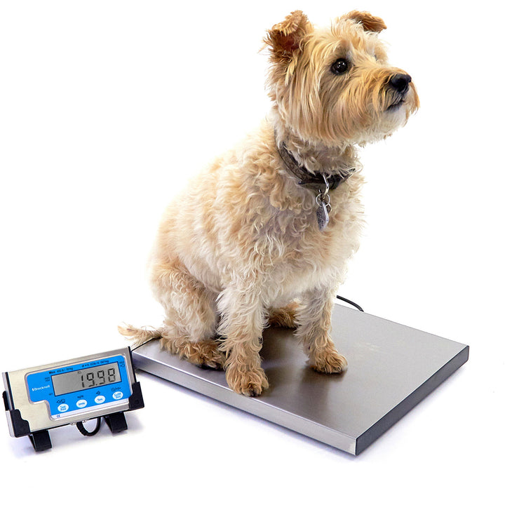 Image of Brecknell Portable Shipping Scale, LCD Display, 400lb, 15"x12", White