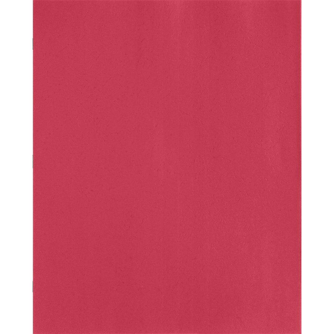 Image of Business Source 2-Pocket Folders, 100 Sh Cap, Ltr, 9-1/2"x11", 25/BX, RD
