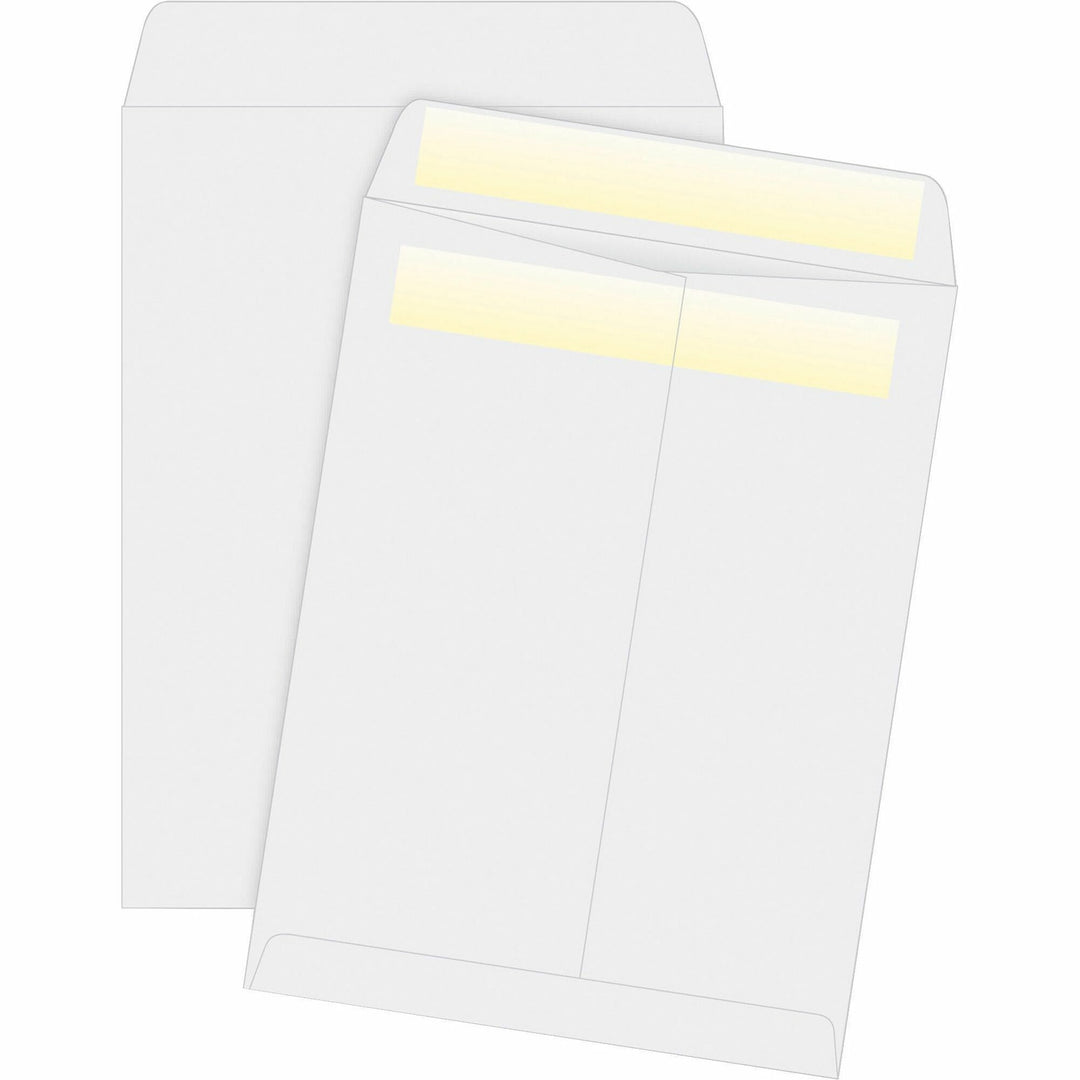 Image of Business Source Catalog Envelopes,Press/Seal,28lb,9"x12",100/BX,WE Wove
