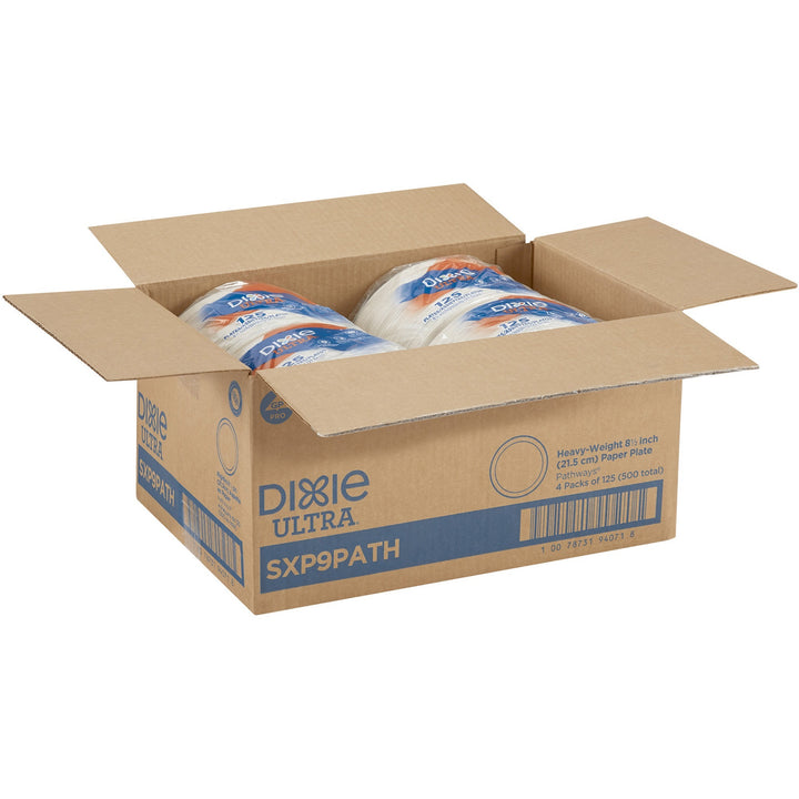 Image of Dixie® Plates,Extra Heavy Weight,8-1/2",125/PK,4PK/CT,Pathways/WE