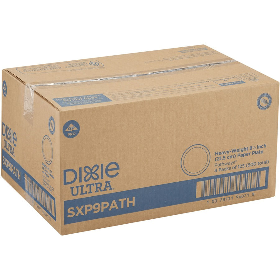 Image of Dixie® Plates,Extra Heavy Weight,8-1/2",125/PK,4PK/CT,Pathways/WE