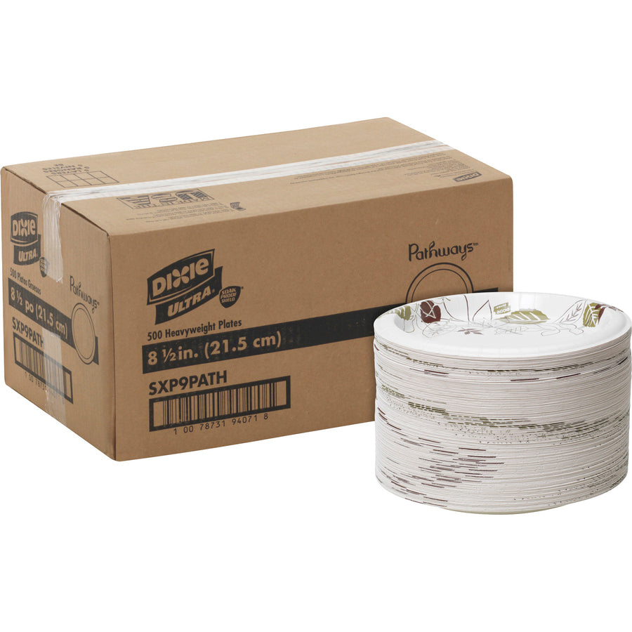 Image of Dixie® Plates,Extra Heavy Weight,8-1/2",125/PK,4PK/CT,Pathways/WE