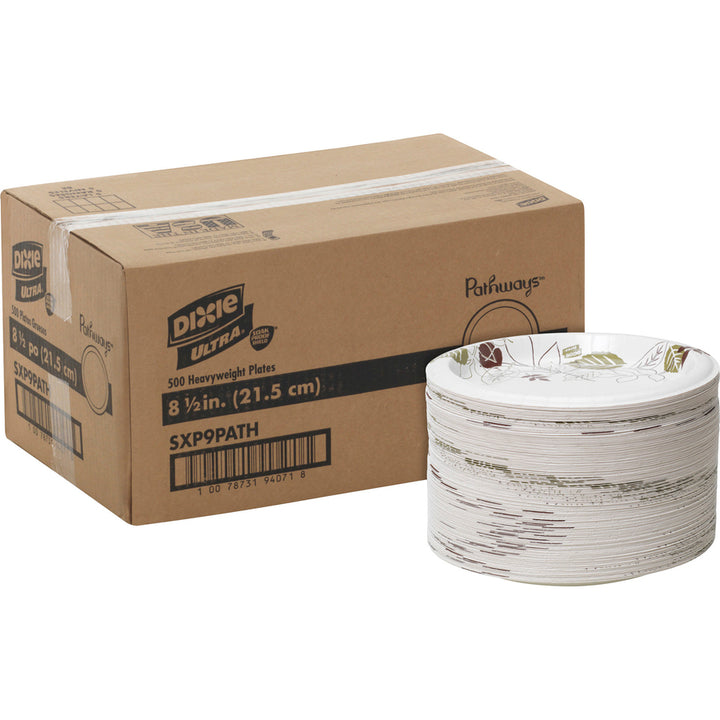 Image of Dixie® Plates,Extra Heavy Weight,8-1/2",125/PK,4PK/CT,Pathways/WE