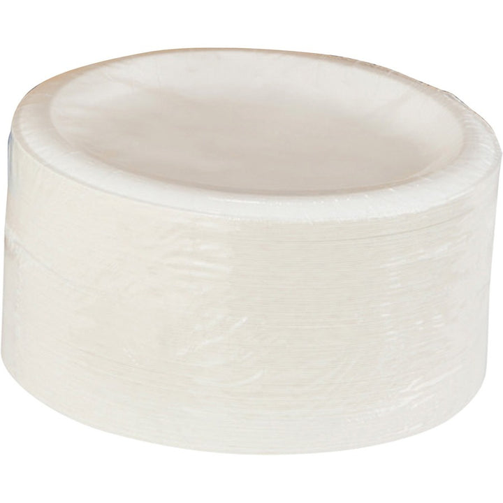 Image of Dixie® Plates, Heavyweight, 8-1/8",125/PK,4PK/CT,Pathways/WE