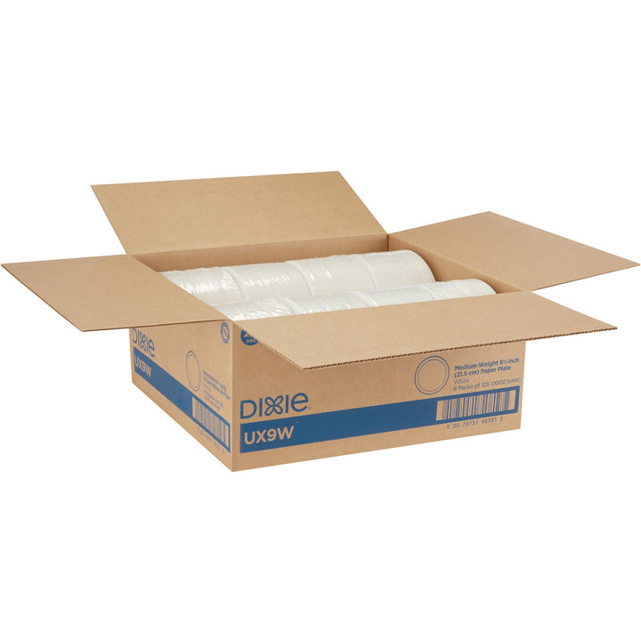 Image of Dixie® Plates, Heavyweight, 8-1/8",125/PK,4PK/CT,Pathways/WE