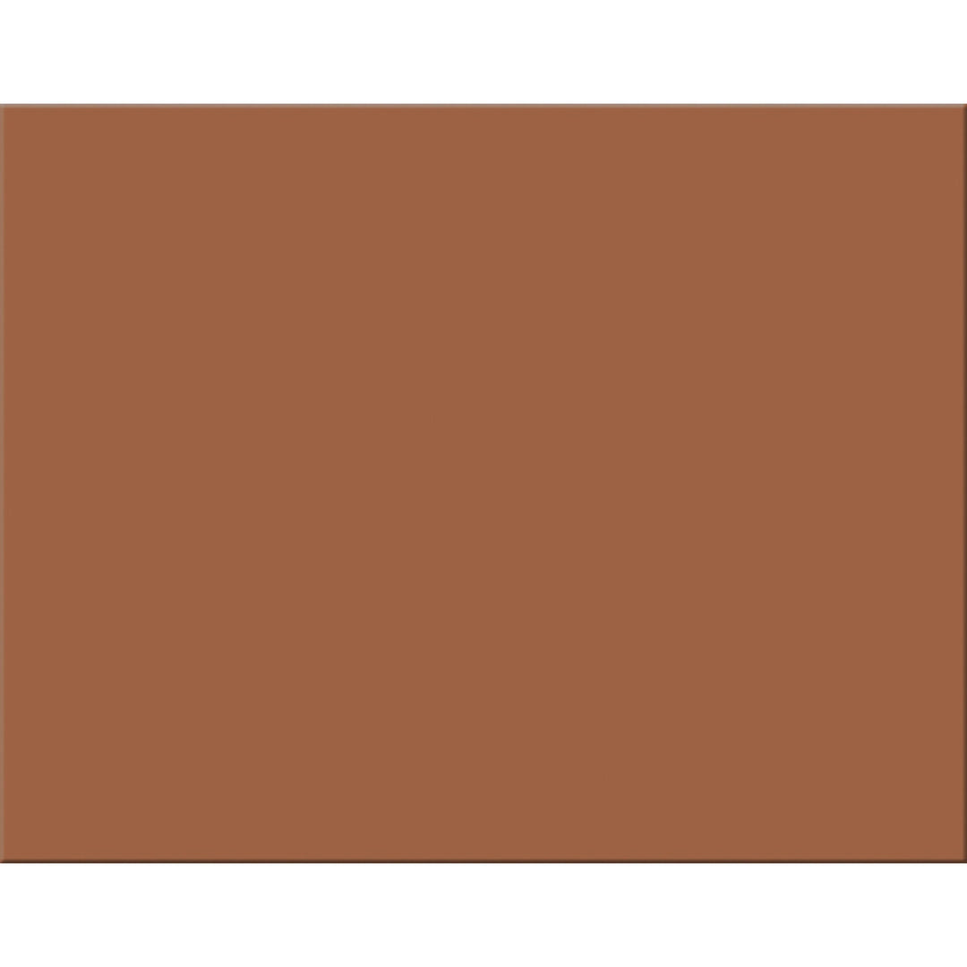 Image of Pacon® Four-Ply Railroad Board, 22 X 28, Brown 25/carton