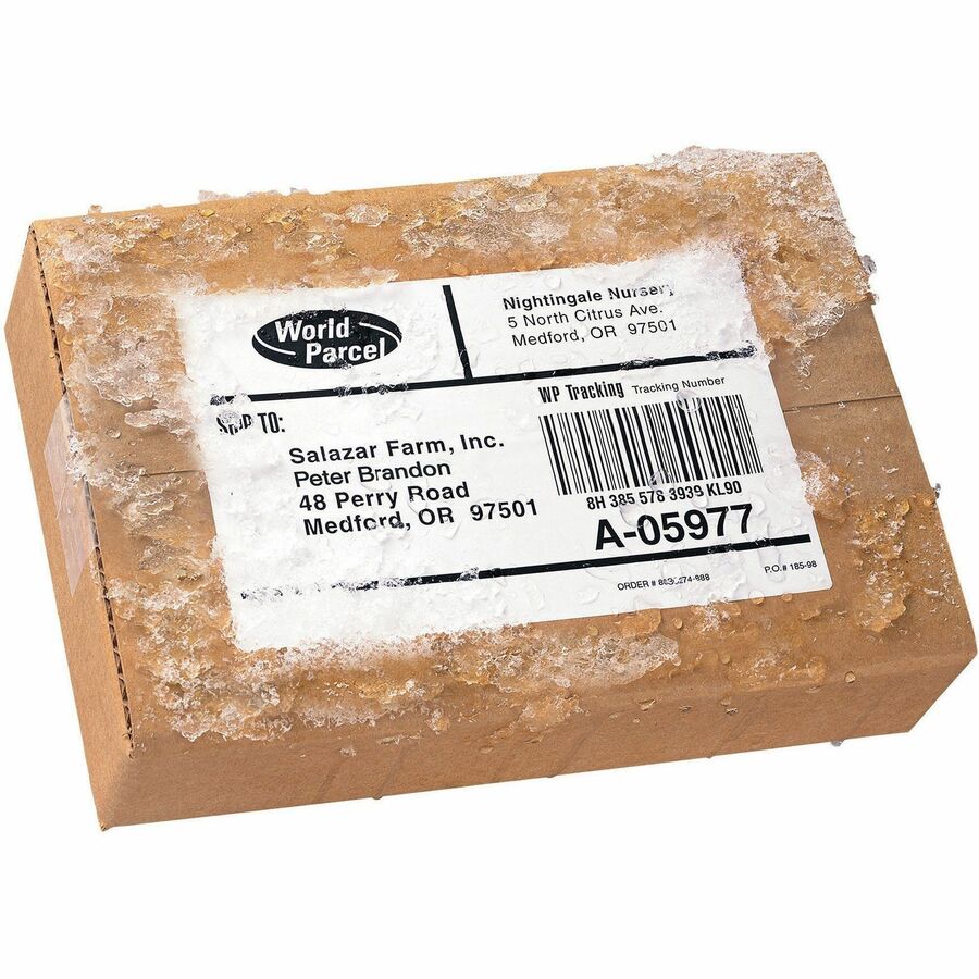 Image of Avery® Mailing Labels, Weatherproof, 5-1/2"x8-1/2", 20/PK, WE