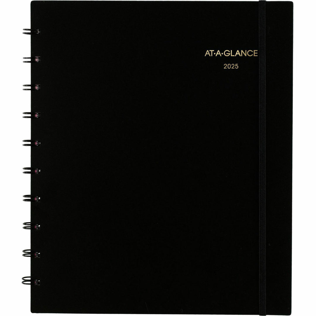 Image of AT-A-GLANCE® Wkly/Mthly Appt Book, 2PPW, 12Mth Jan-Dec, Black