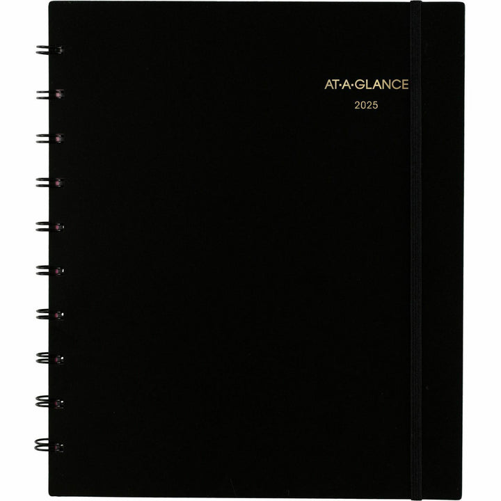 Image of AT-A-GLANCE® Wkly/Mthly Appt Book, 2PPW, 12Mth Jan-Dec, Black